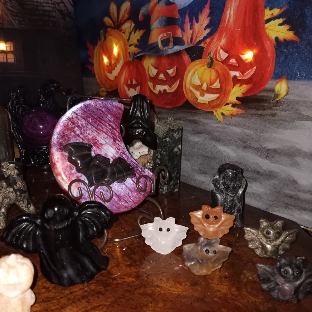 Contest - Picture 1 of 10